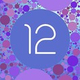 Android 12ϥץ饤Хδ򶯲Ŀ;뤿λȤ