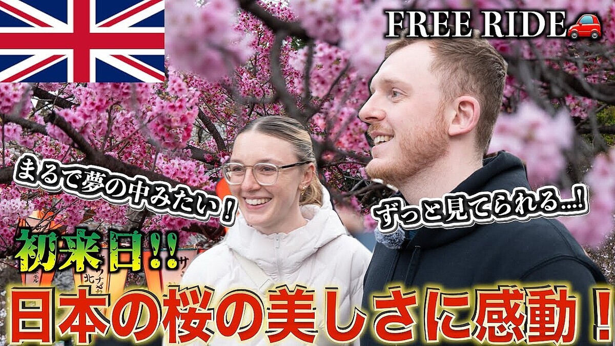 �����ܤä��̤��������׽����������ꥹ�ͥ��åץ뤬�綽ʳ�����Ȥ������ˡ֤���ʤν��ơ���