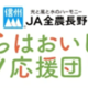 Ĺ����Τ��ƤȤ��ߤΥ��åȤ����̲��ʡ�������������ô�ʤ��ǹ����Ǥ���ֲ�²��������­�ե����פ�ʣ�������Υ���åס��ͤ�Ϥ������������ġפǳ��š�