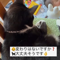 ػҤξ夫龲ˤ֤򸫲ǭ