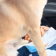 �֤ν����ʤ˺¤븤�ˡغ������±��Ԥ��ǡ٤ȸ��ä���̢��狼��䤹�᤮����ݤ�������ɽ��٤�42�������֥Х�Ӿ��֣��ס��������᤿����