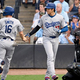�쥤����˽о줷���ɥ��㡼������ë��ʿ�ڼ̿������ե���