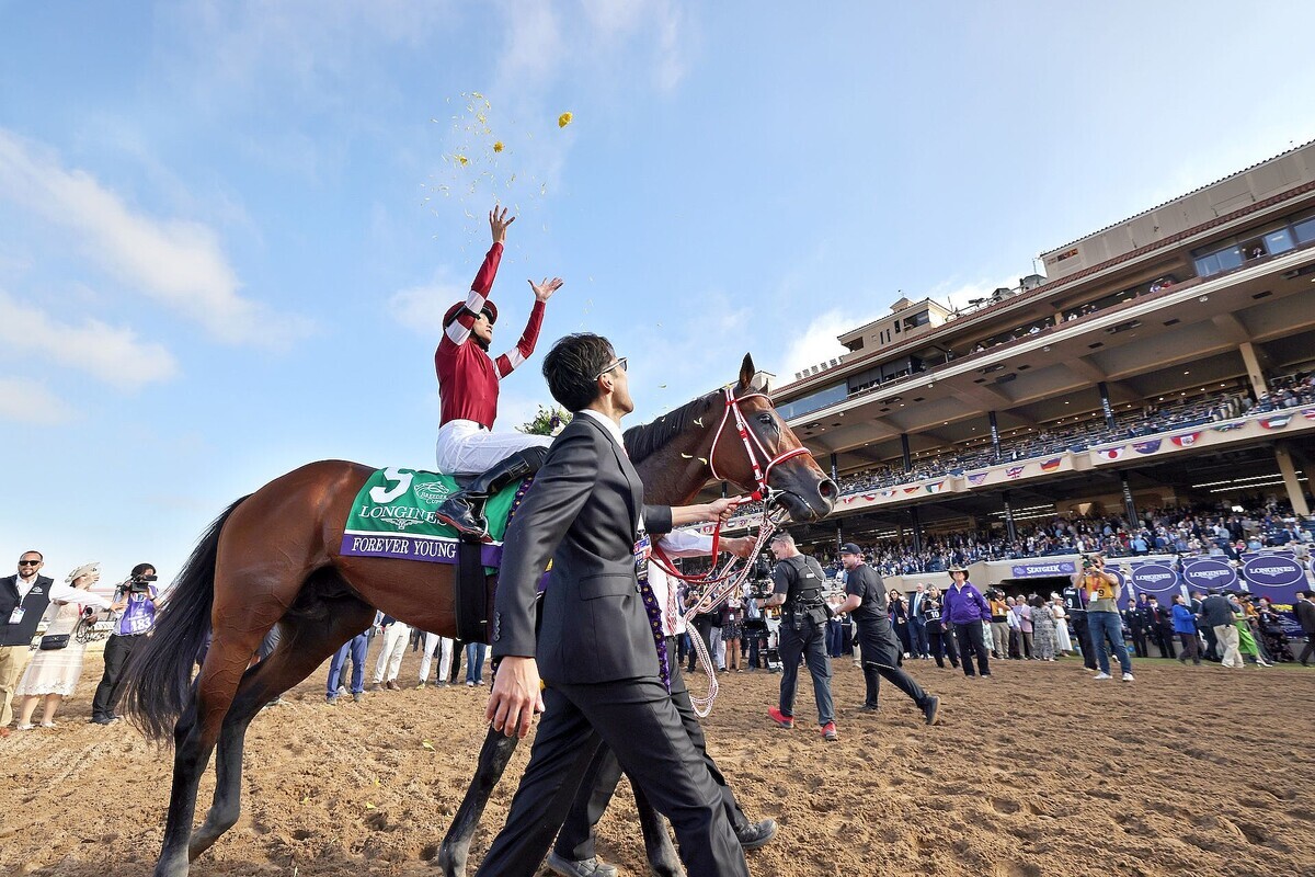 ⽶֥֥꡼åס饷åͥβ󡪥եС󥰤ȺǶΡ֥եߥ꡼פη