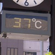 ȴʽ뤵Ų38ͽۡŲ˺ーǮɷٲーȯɽǷ