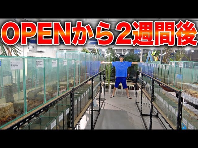 �����參��Ÿ�����ߥ�ー�ץ󡪤����ͤ�����ͤޤ�Ǯ������ͳ�Ȥ�