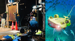 <?php the_title_rss(); ?>