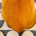 ǭΤ