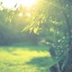 ����ߥ�����ɤ����ǤϤʤ������кѤ������Υꥹ���ڥӥ��ͥ��Ρ�