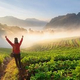 CHIANG MAI, THAILAND-December 11 : Asian woman traveller standing  on the peak of strawberry field with hands raised admiring breathtaking view at sunrise on December 11, 2014 at Doi Ang Khang , Chiang Mai, Thailand.