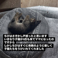 Ƥǭ