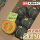 STV�˥�ー���̳�ƻ