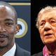 Anthony Mackie by Quejaytee, CC BY 4.0 <https://creativecommons.org/licenses/by/4.0>, via Wikimedia Commons |  Ian McKellen by Raph_PH, CC BY 2.0 <https://creativecommons.org/licenses/by/2.0>, via Wikimedia Commons