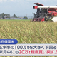 農水省は9月中にも20万t程度を買い戻す方向で調整