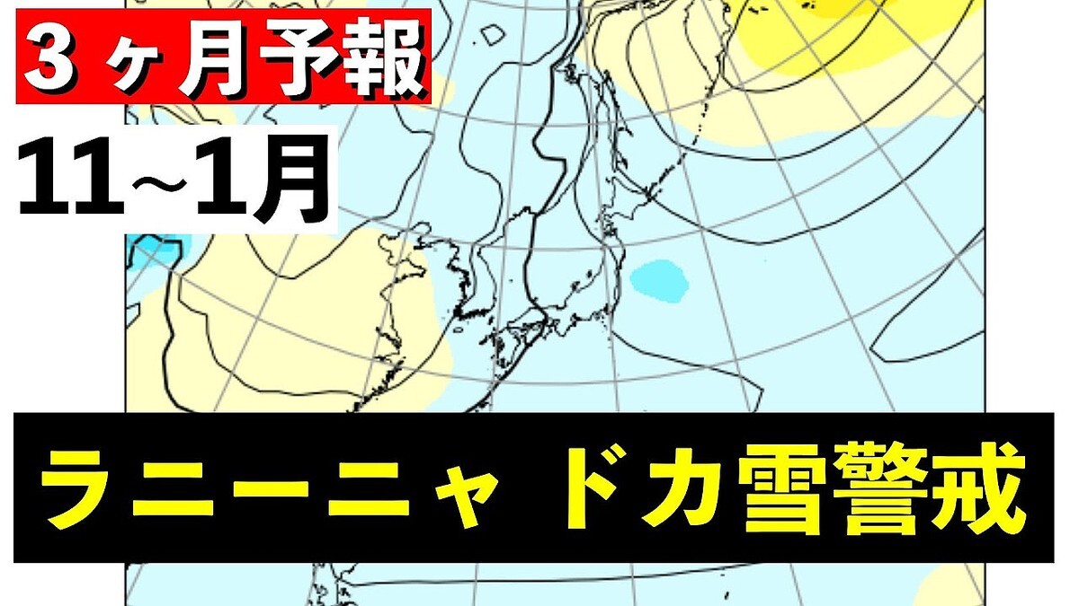 ����ͽ��Τ�ͽ¬������ー�˥�ƶ������ߡ����Ȥ�����˷ٲ���