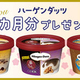 �ڿ͵��������Ƥӡ��ۥϡ�������å� 1����ʬ�ץ쥼��ȡ�