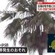 ���ƥ�NEWS NNN