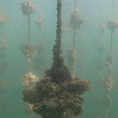 ̤ԤǤ̻֤ܿΤޤޤǤϤҤɤȤˤʤ