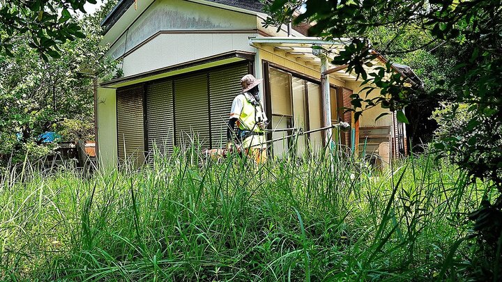 薬師寺保栄被告に6カ月のライセンス停止処分 養子縁組届を偽造し提出か