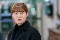 �ʥࡦ���ҥ�󡢥ɥ�ޡ�365�פǿ�������˽�ĩ��ȿ�����̥�Ϥ���Ϫ���뵡���