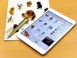 Ŀ;ݸˡΤ줿ʤ⡢Ϥ䱣ʤ