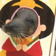 「“みとしー”にまた来たいと思ってもらえるように」アザラシの「ガブ」が大変身！伊豆・三津シーパラダイスでひな祭り限定パフォーマンス＝静岡・沼津市