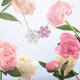 �ϥ�ー�������󥹥ȥ󡡡֥ե�ー���åȡ���ー���Υåȡץ��쥯������꿷��奨��ー��ȯɽ