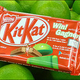 Google�ο�OS��Android 4.4 KitKat�פ���ܤ��줿����ǽ�ޤȤ�