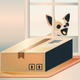 Amazon ���й����뾮��ȼԤΥۥ�ǡ����������ݤ����衢������ά�ȥꥹ���Ȥϡ�