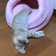 �ܳФ᤿�Ф���λ�ǭ
