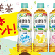 �ڤ����������������ַ�����600ml 1��������24�ܡ˥ץ쥼��ȡ� 