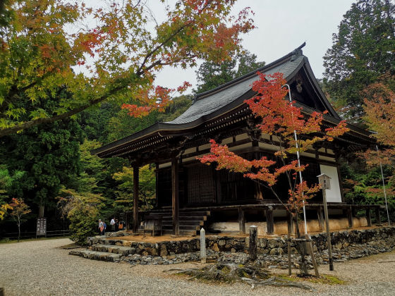 �ڸ��ԡ۵��Ԥα����ߡֹ�ͺ�פ��纮���ι��ե�������Ǥ��Ŭ��ˬ��Ǥ���΢��