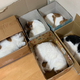 ダンボール箱に1箱1匹ずつ入る5匹の猫たち