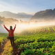 CHIANG MAI, THAILAND-December 11 : Asian woman traveller standing  on the peak of strawberry field with hands raised admiring breathtaking view at sunrise on December 11, 2014 at Doi Ang Khang , Chiang Mai, Thailand.