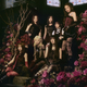 Girls²��10����ۡ���ĥ�����Girls² LIVE TOUR 2026 -Seven Blooms Beyond-�䳫�ŷ���
