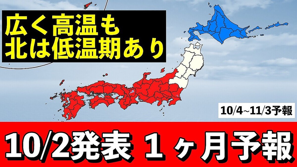 ����ͽ��Τ��پ�ֹⲹ���㲹��ξ��ü��10�������������礭�ʴ��Ⱥ���