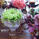 ᤯ȿʪء Vol.2֤ǽΤƤʤ