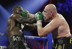 �磻������ʺ��ˤ˶����ʥѥ���򿩤�碌��ե塼�꡼��AP��