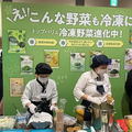 ɤ衼ɡ饤դ俩׶档