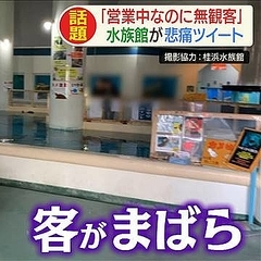 �ֱĶ���ʤΤ�̵�ѵҡ������׹��λԤο�²�ۤ����˥ĥ�����