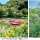 ROKKO���β��ߥ�ー��������ͻԳ��Ϥ��-5�٤�������θ���ROKKO���äߥե���2026�׳���2026ǯ7��18�����ڡ�～20���ʷ�ˡ�