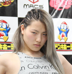 �ˣɣΣǥ쥤��