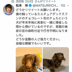 ���ʤ��ʤä������ˤĤ��ƾ����󶡤�ƤӤ������������������ơ����ݥ󥵡���Ȥ����İ���Ȼ��˶��Ϥ����ʥĥ��å�������