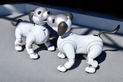 Sony AIBO