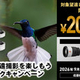 キャンペーン：ソニー、望遠レンズとテレコンの購入で2万円キャッシュバック　新400mm・600mm、FE 100-400mm F5.6-8 OSSも対象