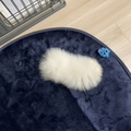 夫᤿