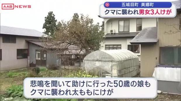 ޾ĮĮǥޤˤͿﳲ꼡ǥޤ˽˽3ͤ/