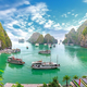 Photo: Adobe Stock