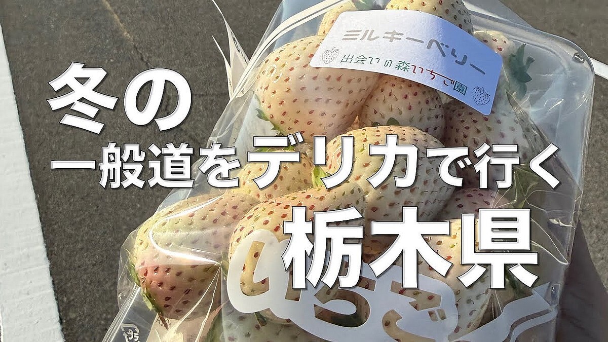 ��RV��ー�����ۥǥꥫD:5�����ڤء���ƻ���󥰥ɥ饤��