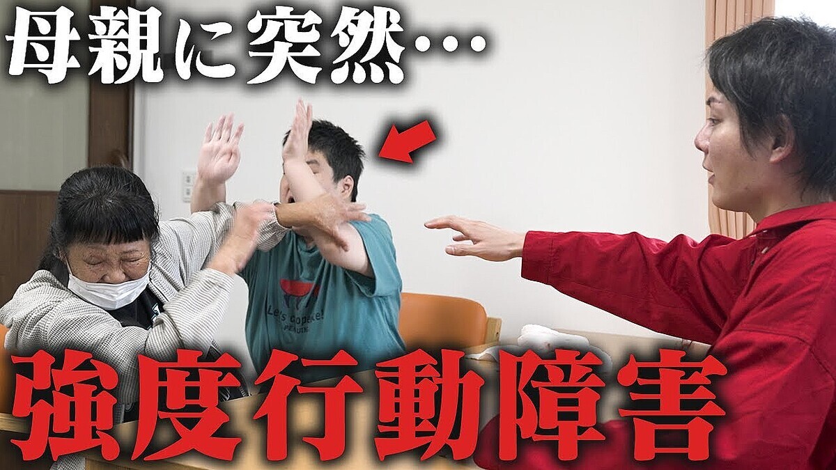 ��¾��������ȼ�������Ƥ�館�ʤ��׶��ٹ�ư�㳲�β�²���������ʲ��θ��¡���ؤ�˽�Ϥ˻���ͥ�������