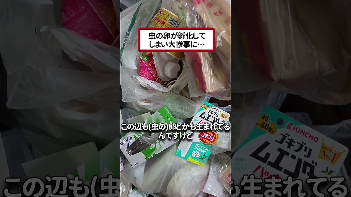 「虫の卵が孵化して…」若手保育士が明かす“推し活女子”の壮絶な汚部屋事情